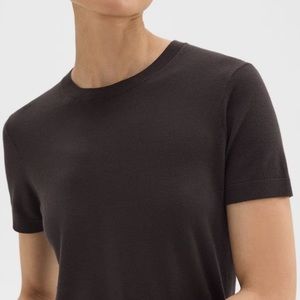 Theory Basic Regal Wool Short-Sleeve Tee in Mink Brown XXL worn